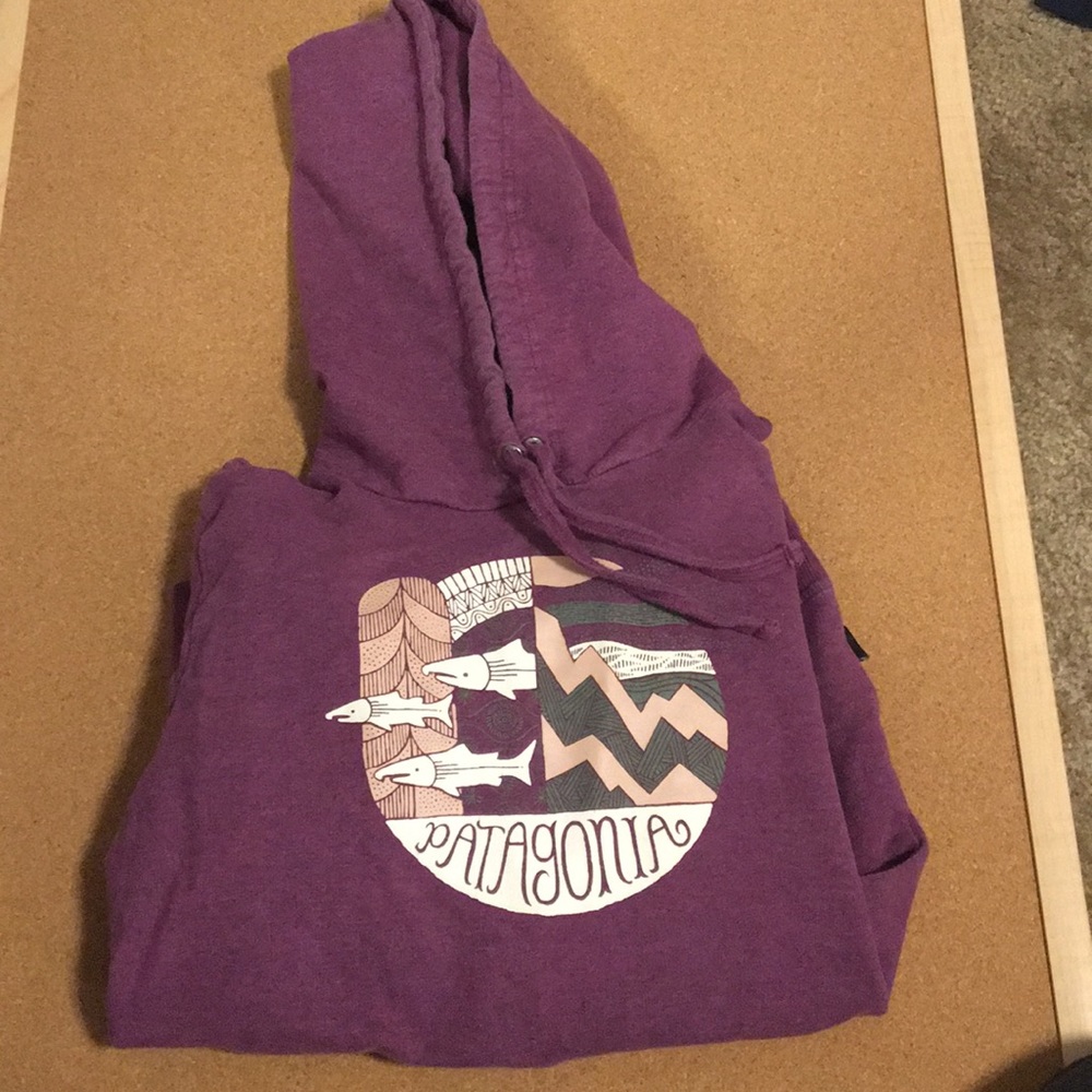 Magenta Patagonia Hoodie